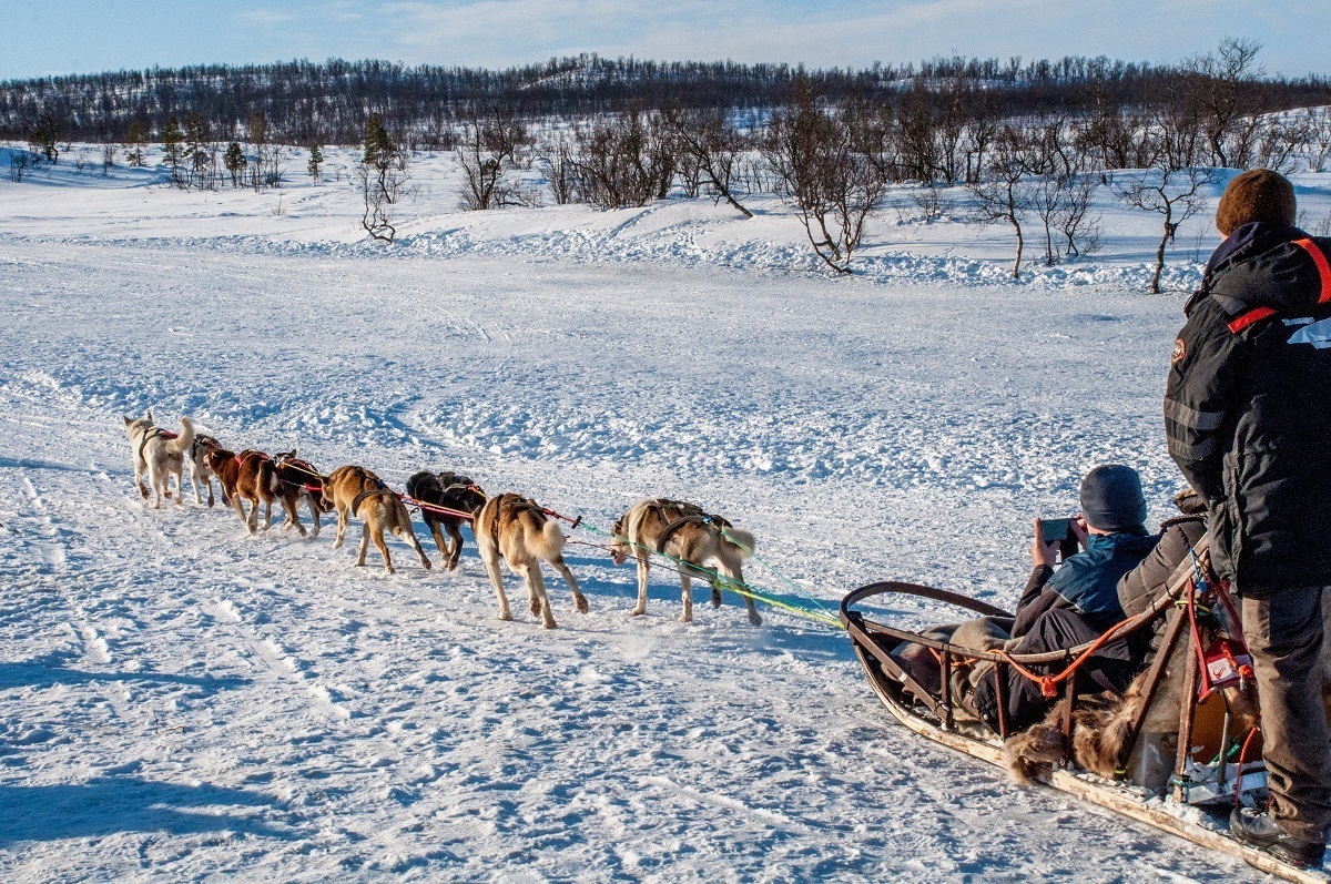 Dogs pulling a sled full of people across snow