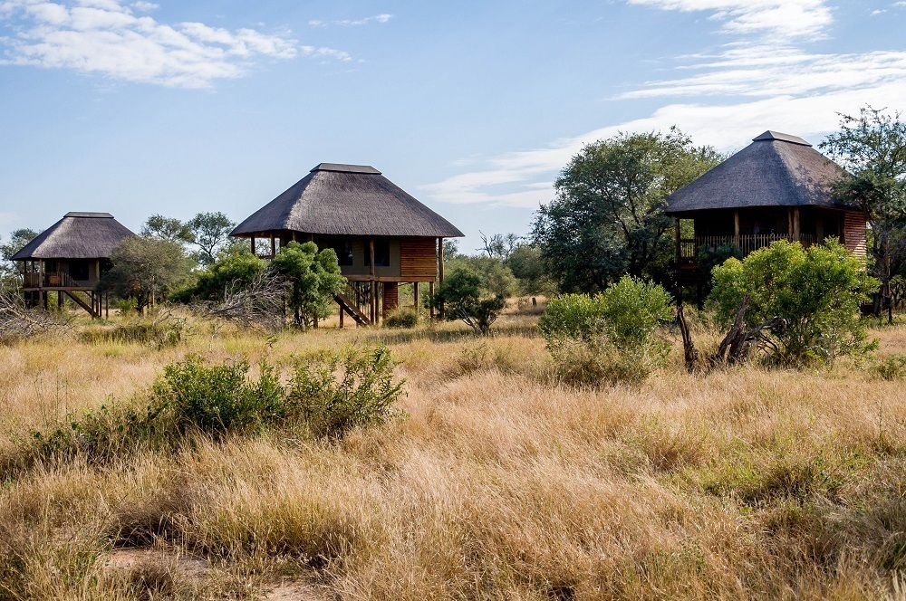 The chalet's at nThambo Tree Camp