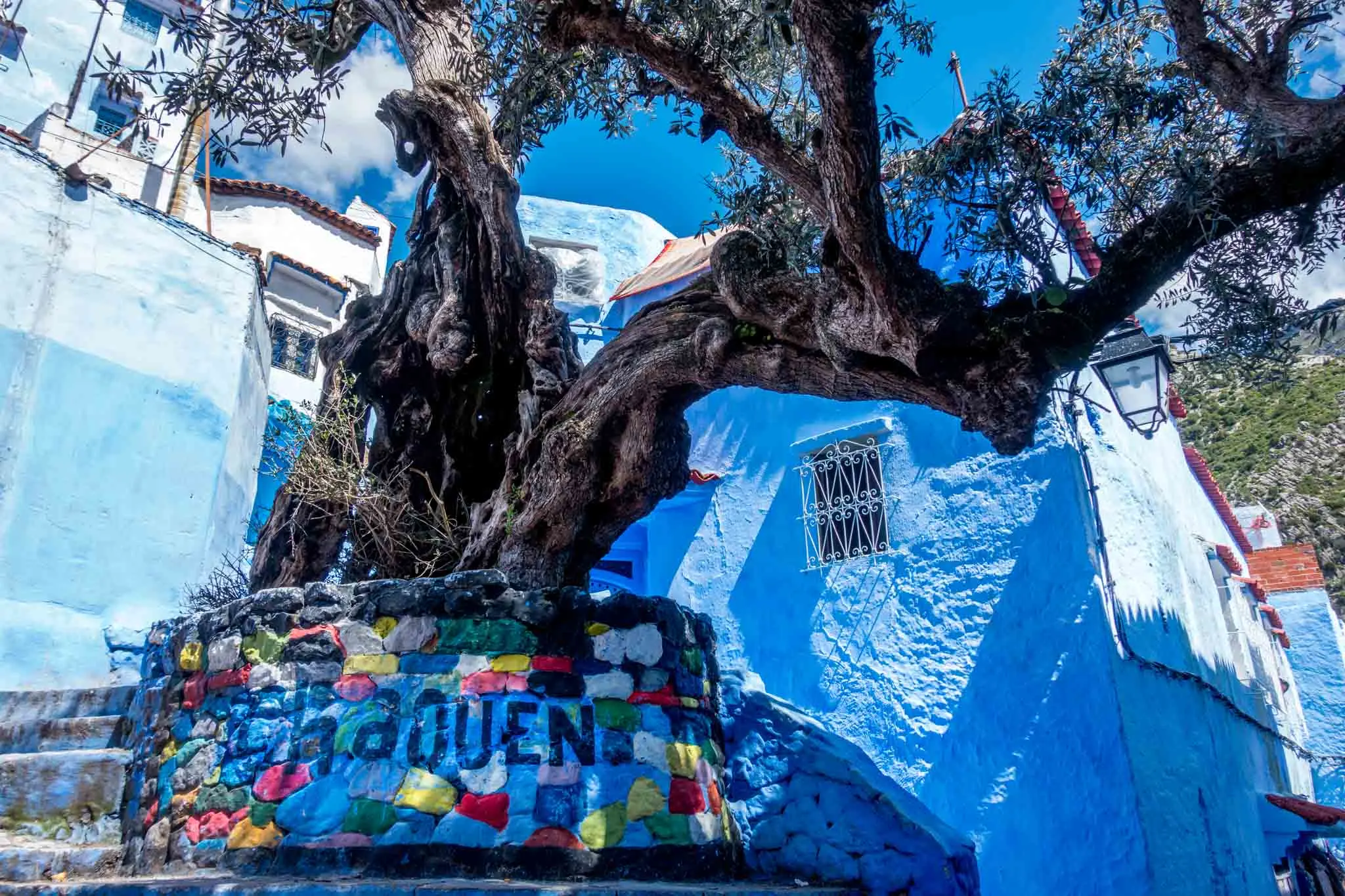 Tree with a base labeled "Chaouen."
