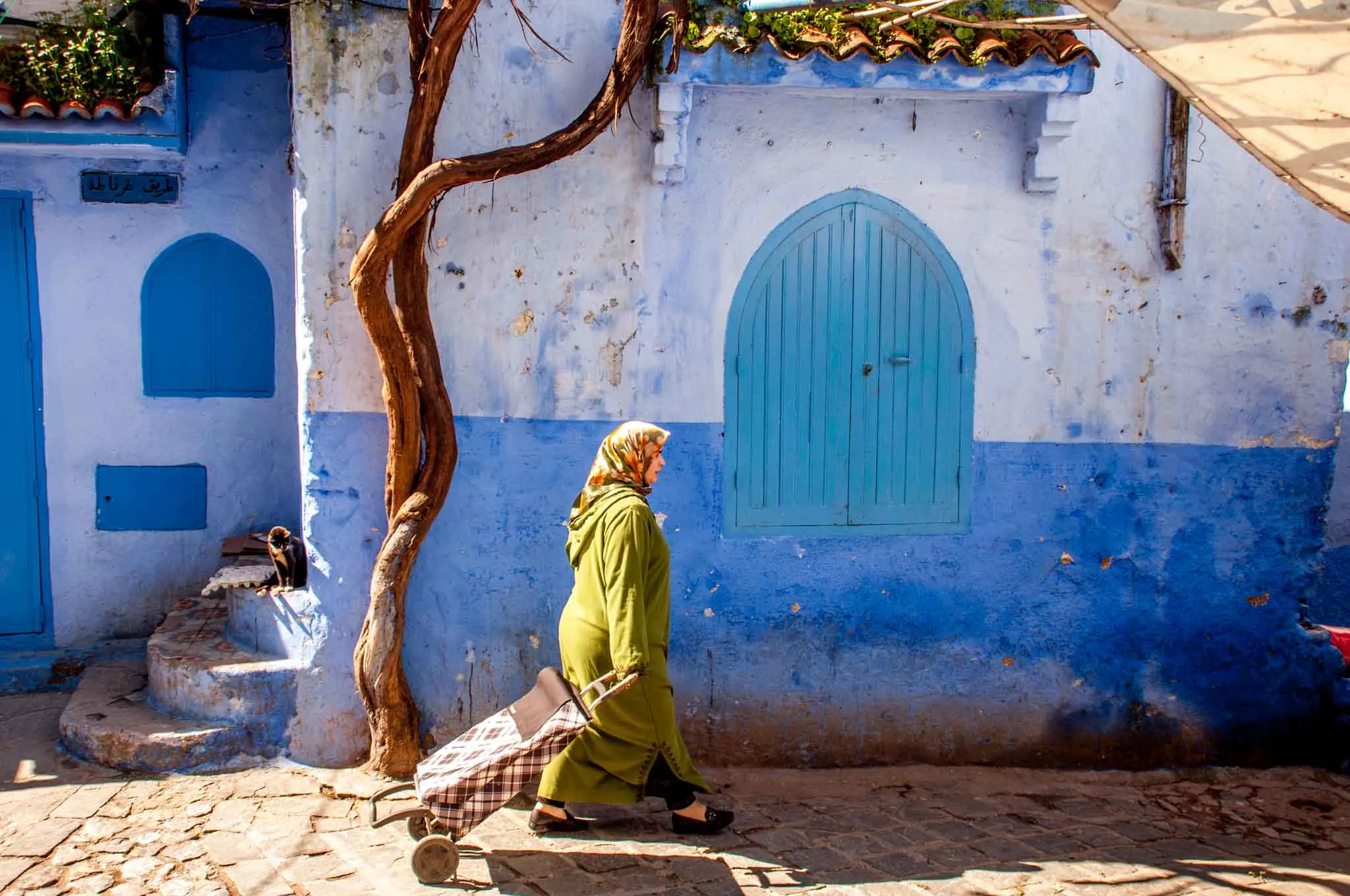 Woman pulling a shopping bag in the street