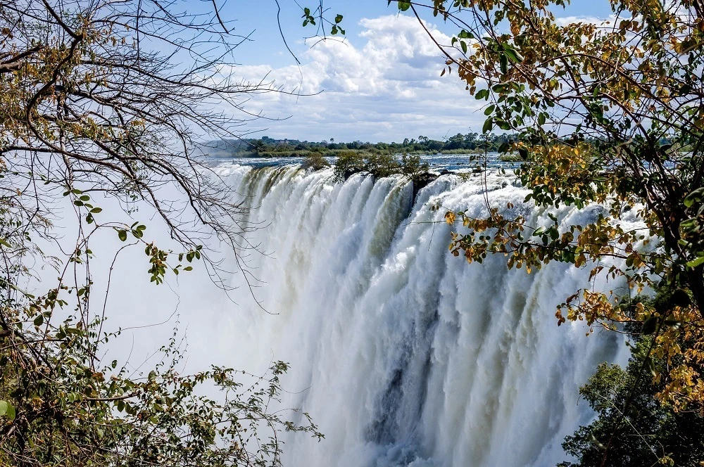 Approaching The Victoria Falls Livingstone, Zambia side through the trees